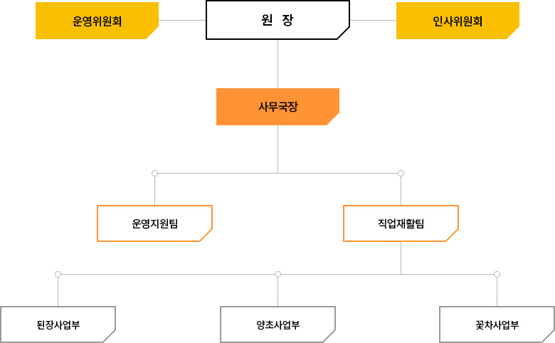 조직현황